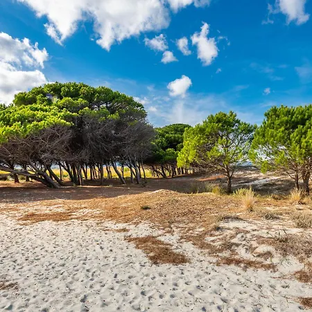 - Tta100 By Interhome * La Caletta