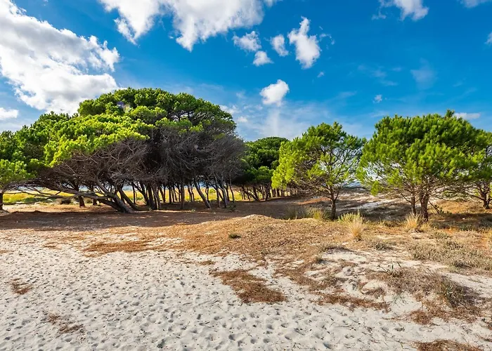 Lia By Interhome * La Caletta